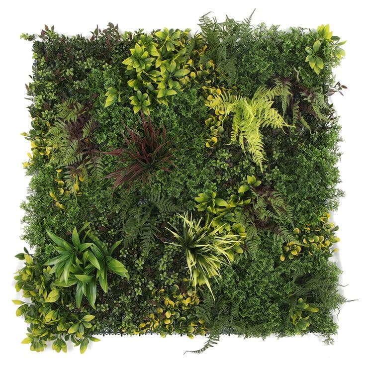 WallBackdrop Outdoor