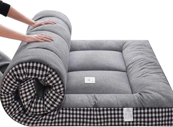 Futon Mattress ποΈ