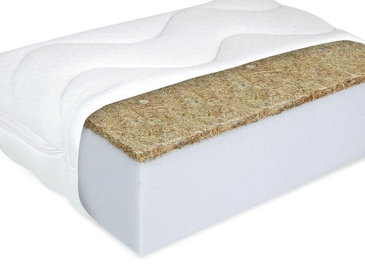 Organic Mattress π±